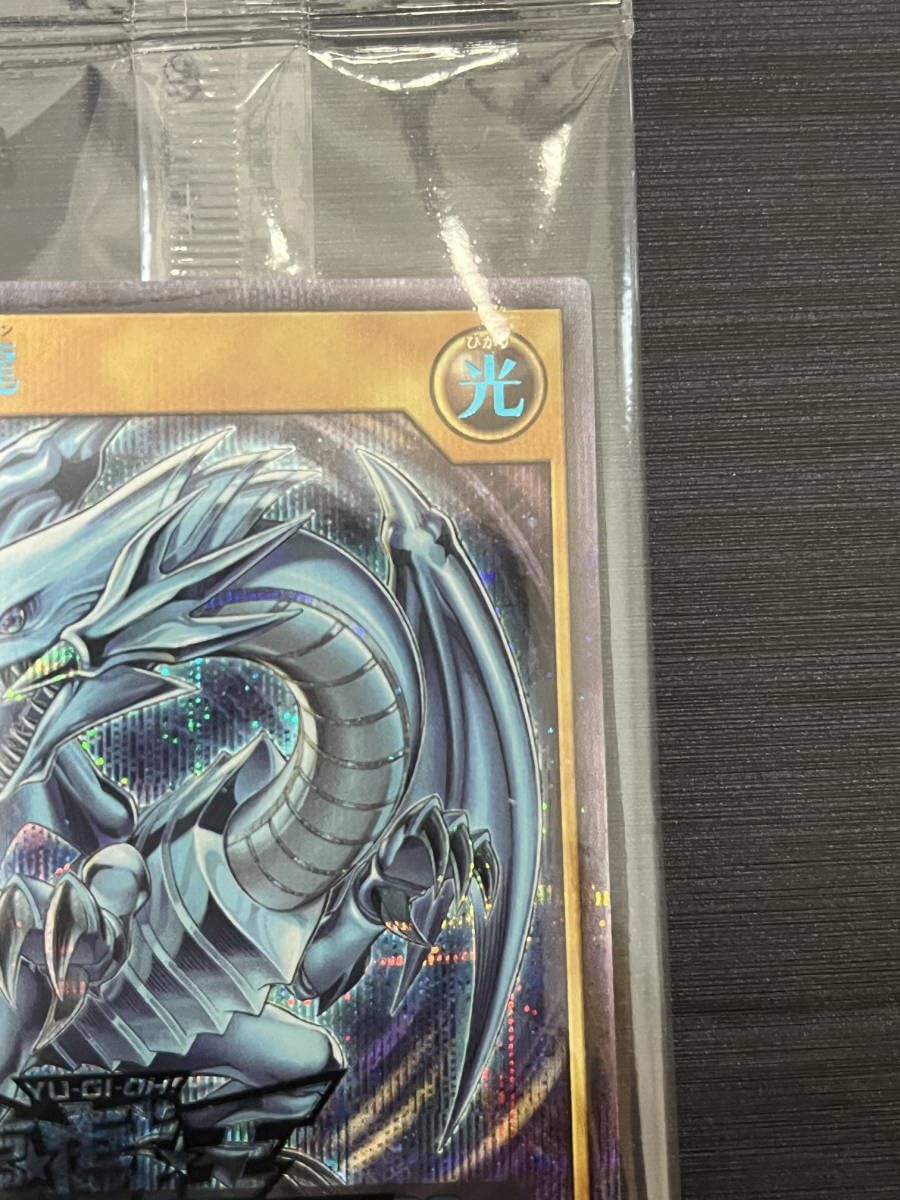 Amazon.co.jp: 青眼の白龍 シークレットレア SPECIAL BLUE Ver